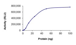 Sino Biological&nbsp;Recombinant Human RET Protein (G810S, GST Tag), Active